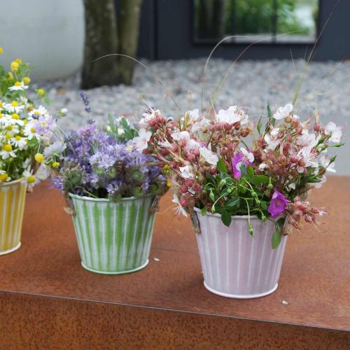 Balde de plantas, vaso de metal com alças, plantador decorativo para plantar rosa/verde/amarelo shabby chic Ø12cm H10cm conjunto de 3