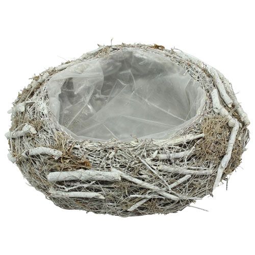 Floristik24 Vaso de plantador cinza Ø25cm