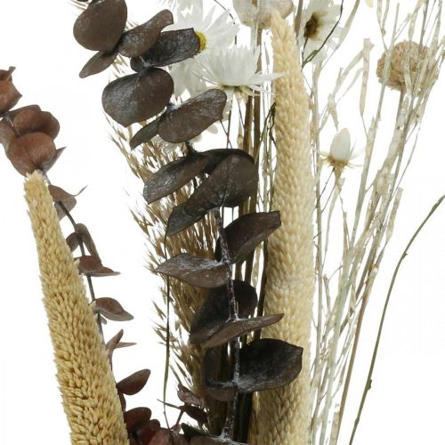 Floristik24 Buquê de flores secas com eucalipto branco caixa DIY H30-35cm