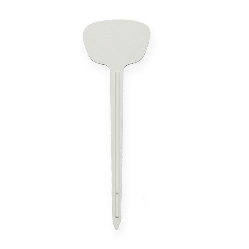 Floristik24 Plante sinal 12cm 100p