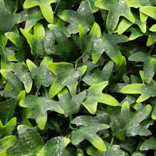 Tapete de hera artificial verde 60x60 cm para decoração de parede | Floristik24.pt