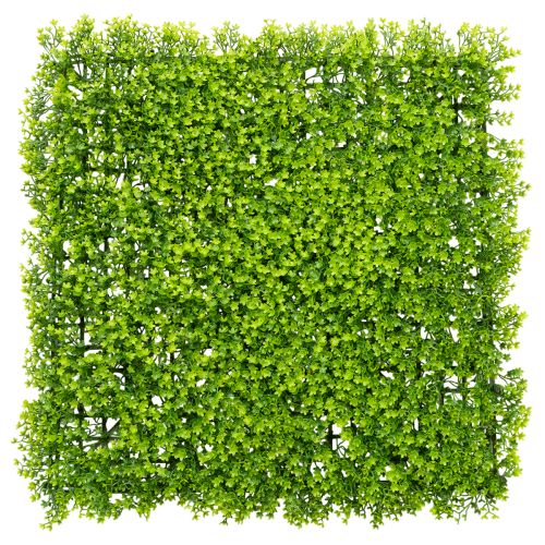 Tapete de buxo artificial 55x55 cm para decoração de parede comprar | Floristik24.pt