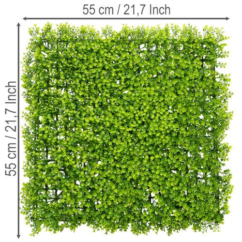 Tapete de buxo artificial 55x55 cm para decoração de parede | Floristik24.pt