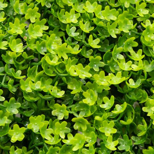 Tapete de buxo artificial 55x55 cm para decoração de parede | Floristik24.pt