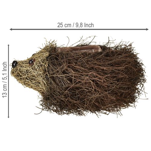 Itens Floreira ouriço feita de videira 22cm x 25cm