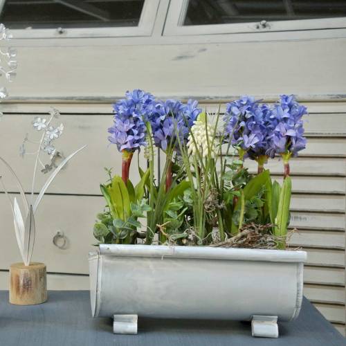 Floristik24 Calha plantador 25cm