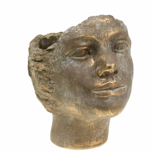 Floristik24 Cabeça da planta busto da planta ouro H20cm