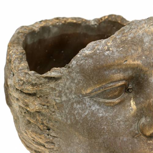 Floristik24 Cabeça da planta busto da planta ouro H20cm