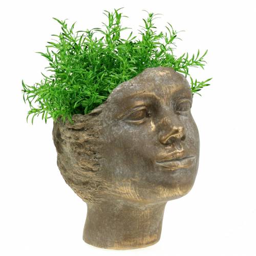 Floristik24 Cabeça da planta busto da planta ouro H20cm