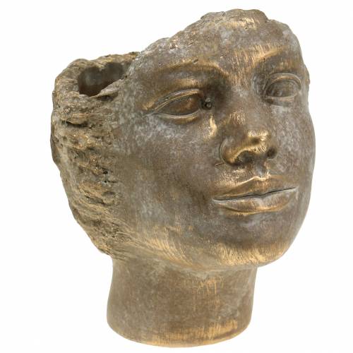 Floristik24 Plantador de cabeça de planta busto ouro H24cm