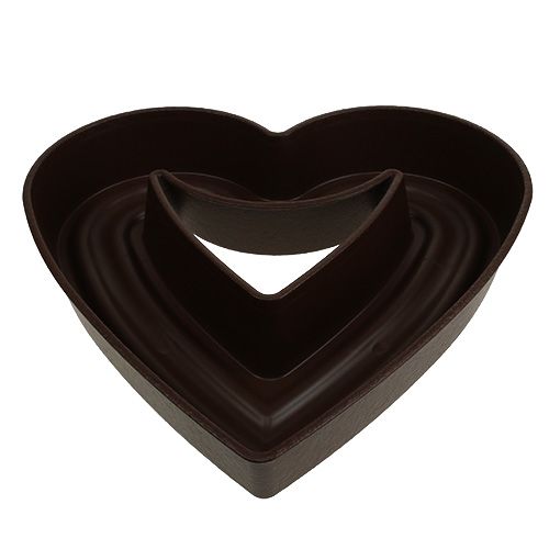 Floristik24 Planta coração &quot;Amora&quot; 45cm castanho, 1ud