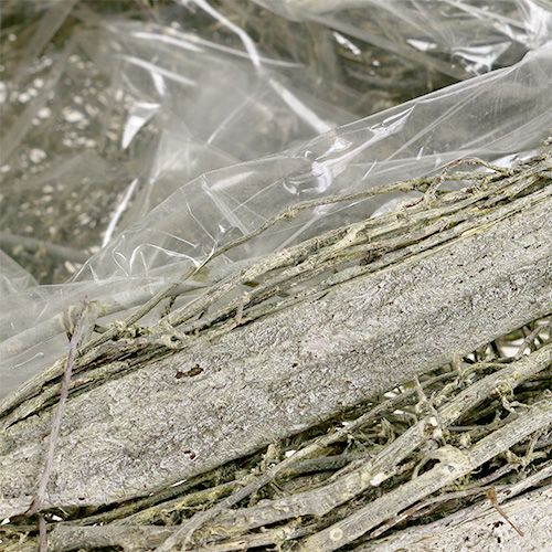 Floristik24 Planta coração verde lavado C25cm L20cm