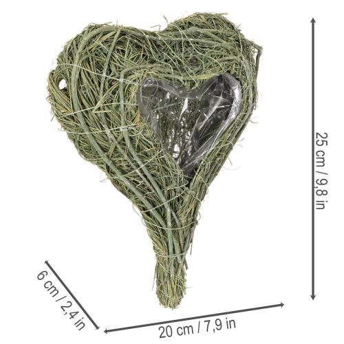 Coração de planta natural para arranjos florais com folha metálica, 25 cm | Floristik24.pt