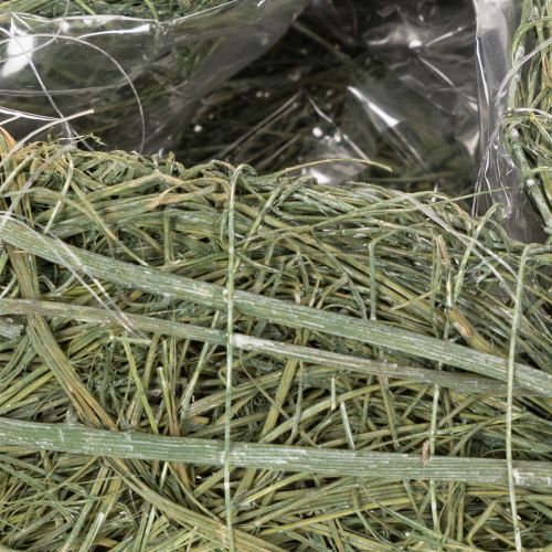 Coração de planta natural para arranjos florais com folha metálica, 25 cm | Floristik24.pt