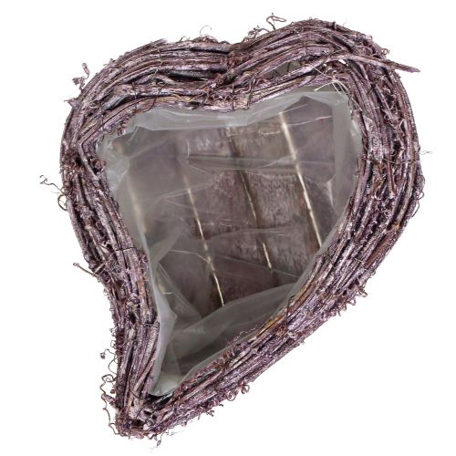 Floristik24 Planta coração de videira amora-preta lavado com 27cm x 24cm