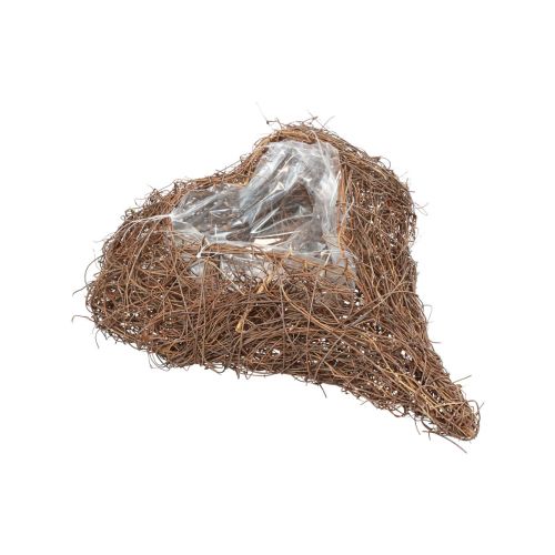 Floristik24 Planta coração videira coração planta tigela natural Salim 21×20,5×6cm