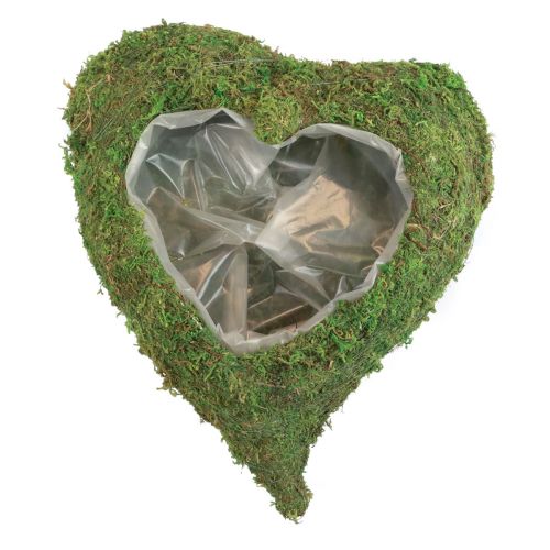 Itens Planta coração musgo verde planta tigela coração 20x20x5,5cm