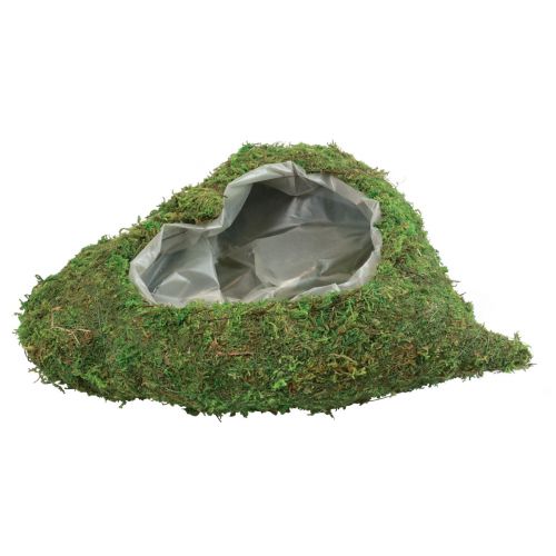 Floristik24 Coração de planta verde musgo planta tigela coração 26×30×8cm