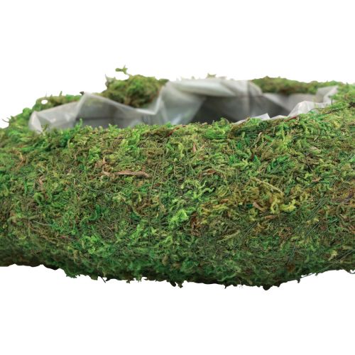 Floristik24 Coração de planta verde musgo planta tigela coração 26×30×8cm
