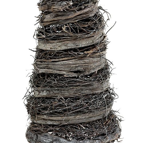 Floristik24 Cones para plantas em vinha com cal 40x10/60x15/80x20cm