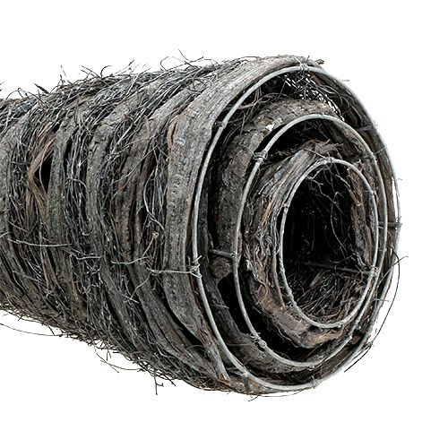 Floristik24 Cones para plantas em vinha com cal 40x10/60x15/80x20cm