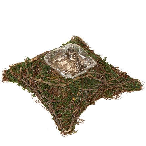 Almofada para plantas, videiras, musgo, vaso para plantas natural 20×20×6,5cm