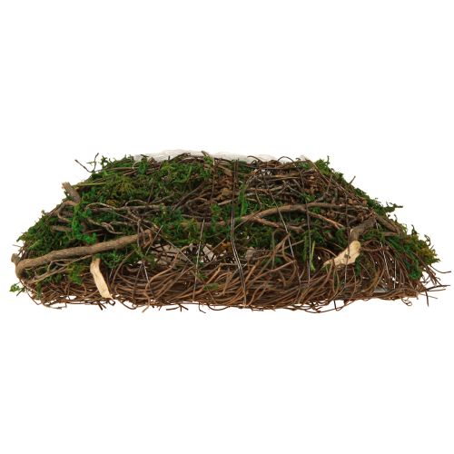 Itens Almofada para plantas, videiras, musgo, vaso para plantas natural 20×20×6,5cm