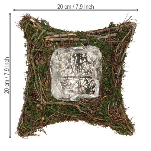 Itens Almofada para plantas, videiras, musgo, vaso para plantas natural 20×20×6,5cm