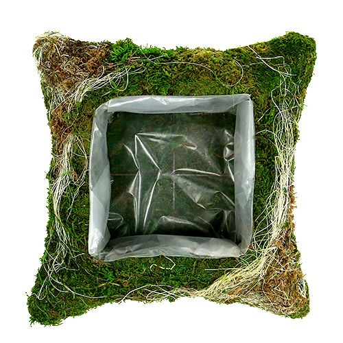 Floristik24 Almofada de planta musgo 25cm x 25cm 2pcs