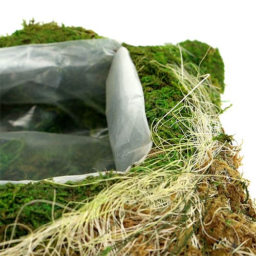 Floristik24 Almofada de planta musgo 25cm x 25cm 2pcs