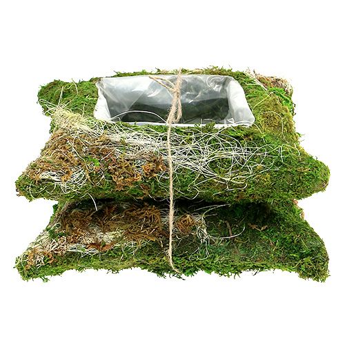 Floristik24 Almofada de planta musgo 25cm x 25cm 2pcs