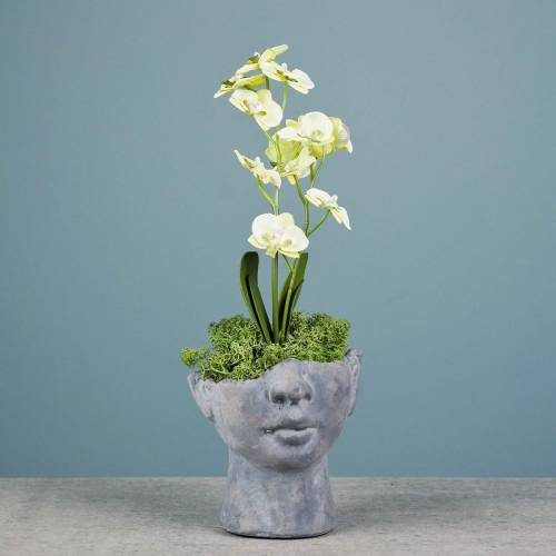Floristik24 Busto de cabeça de planta feito de concreto para plantio cinza H13cm 2pcs