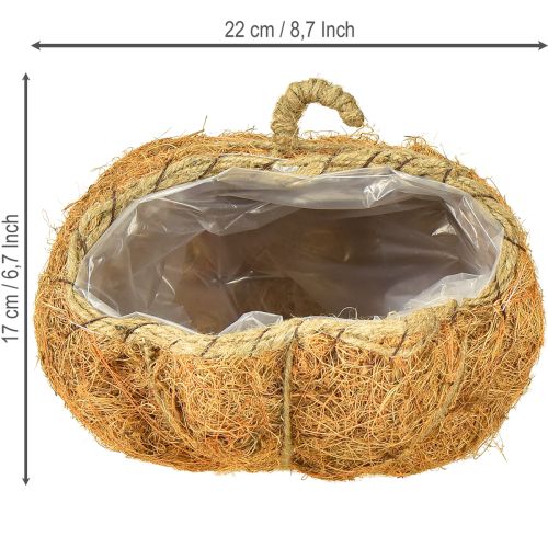 Itens Cesta de plantas abóbora decoração de outono laranja Ø22cm H17cm