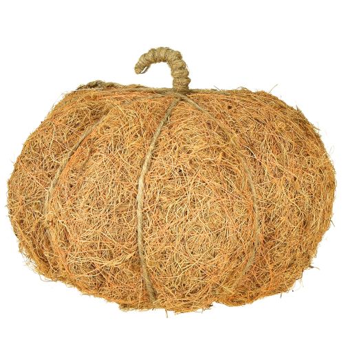 Itens Cesta de plantas abóbora decoração de outono laranja Ø22cm H17cm