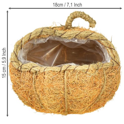 Itens Cesta de plantas abóbora com folha de alumínio decoração de outono laranja Ø18cm H15cm