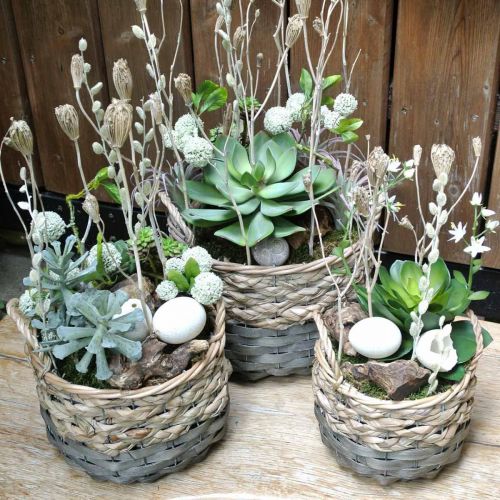 Floristik24 Cesta para plantas, cesta de vime para plantio, cesta de flores redonda natural, cinza Ø29/23,5/18cm conjunto de 3