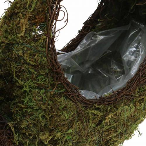 Floristik24 Cesta de plantas musgo caracol marrom 29x13cm Alt.23cm