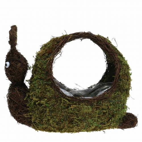 Floristik24 Cesta de plantas musgo caracol marrom 29x13cm Alt.23cm