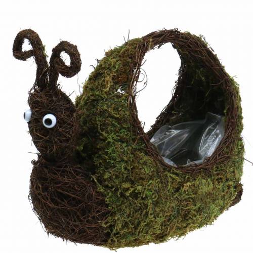 Cesta de plantas musgo caracol marrom 29x13cm Alt.23cm