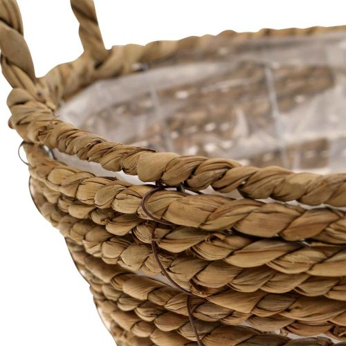 Floristik24 Cesto para plantas cesto redondo de ervas marinhas com pegas cesto decorativo Ø25cm A9cm