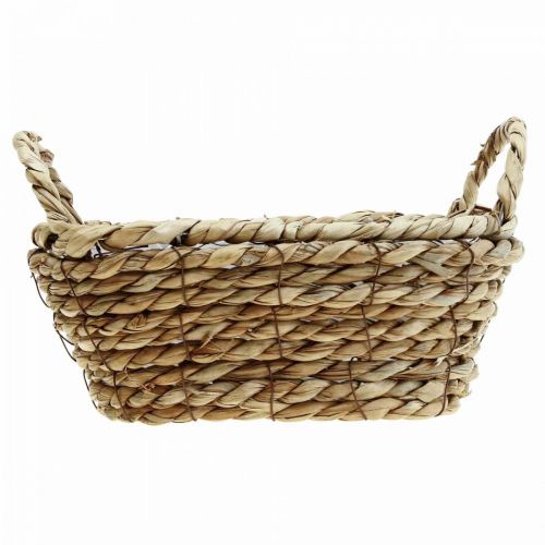 Floristik24 Cesto de plantas cesto de ervas marinhas com asas decoração oval 23×13×9cm