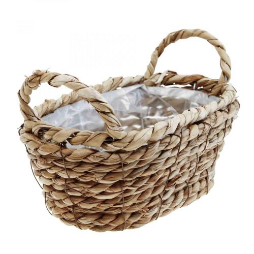 Floristik24 Cesto de plantas cesto de ervas marinhas com asas decoração oval 23×13×9cm