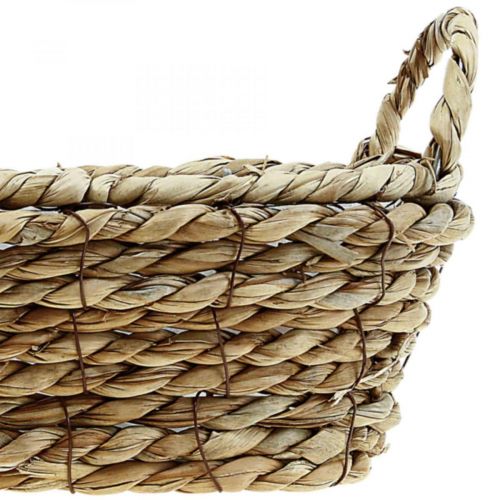 Floristik24 Cesto de plantas cesto de ervas marinhas com asas decoração oval 23×13×9cm