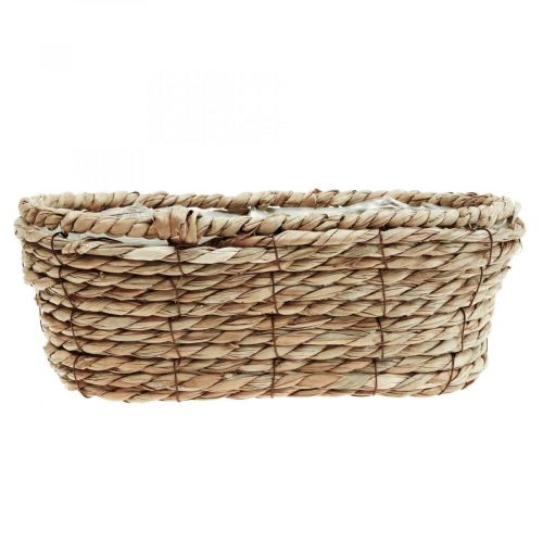 Floristik24 Cesto para plantas cesto de ervas marinhas cesto decorativo oval 28×15×10cm