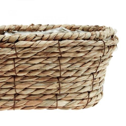 Floristik24 Cesto para plantas cesto de ervas marinhas cesto decorativo oval 28×15×10cm