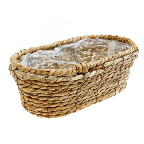 Floristik24 Cesto para plantas cesto de ervas marinhas cesto decorativo oval 32×19×12cm