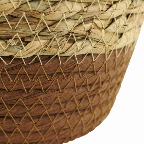 Floristik24 Cesto para plantas plantador cesto de ervas marinhas deco nature Ø19cm A16cm