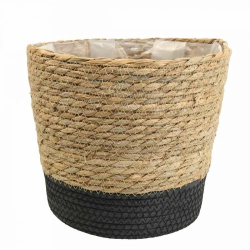 Floristik24 Cesto para plantas plantador cesto de ervas marinhas deco nature Ø23cm H20cm