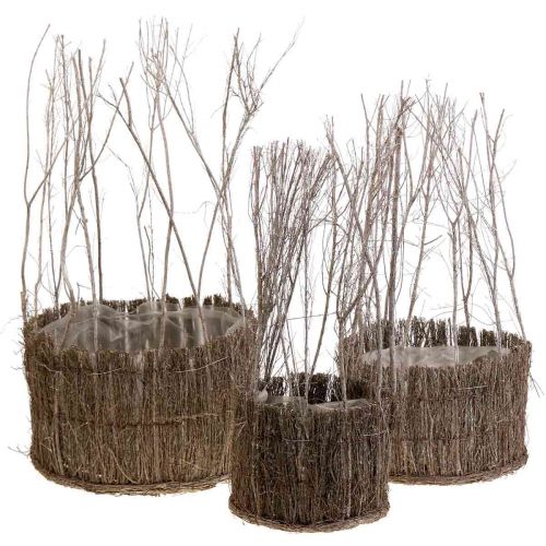 Floristik24 Cesto para plantas feito de galhos caiados Ø15-25cm conjunto de 3