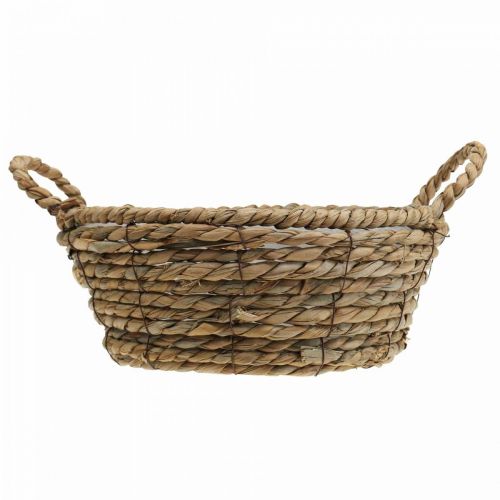 Floristik24 Cesto para plantas cesto redondo de ervas marinhas com pegas cesto decorativo Ø25cm A9cm